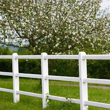 Le Haras Du Favry Apartman Palinges Kültér fotó
